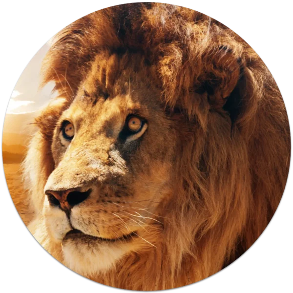 01N4 - Furry Lion - Fotokunst Wandcirkel