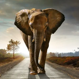 Lost Elephant - Fotokunst Wanddecoratie Verticaal