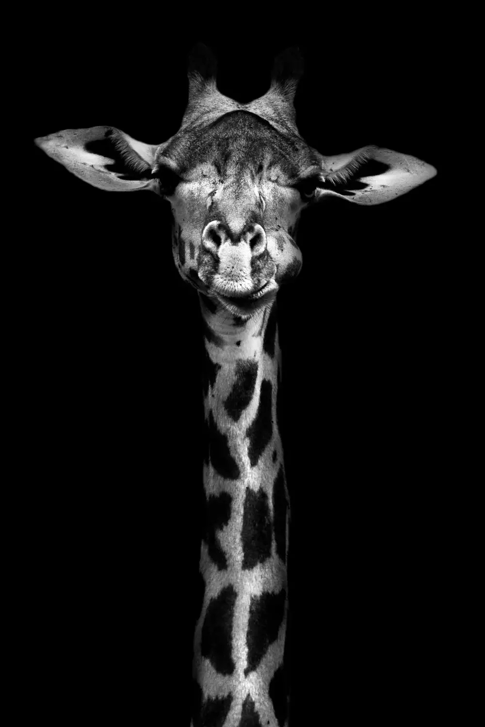 03Y4 - The Giraffe - Fotokunst Wanddecoratie Verticaal