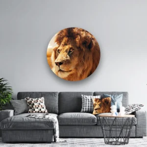 Dibond Gallery 120x120 - Furry Lion - Fotokunst Wandcirkel - nieuw