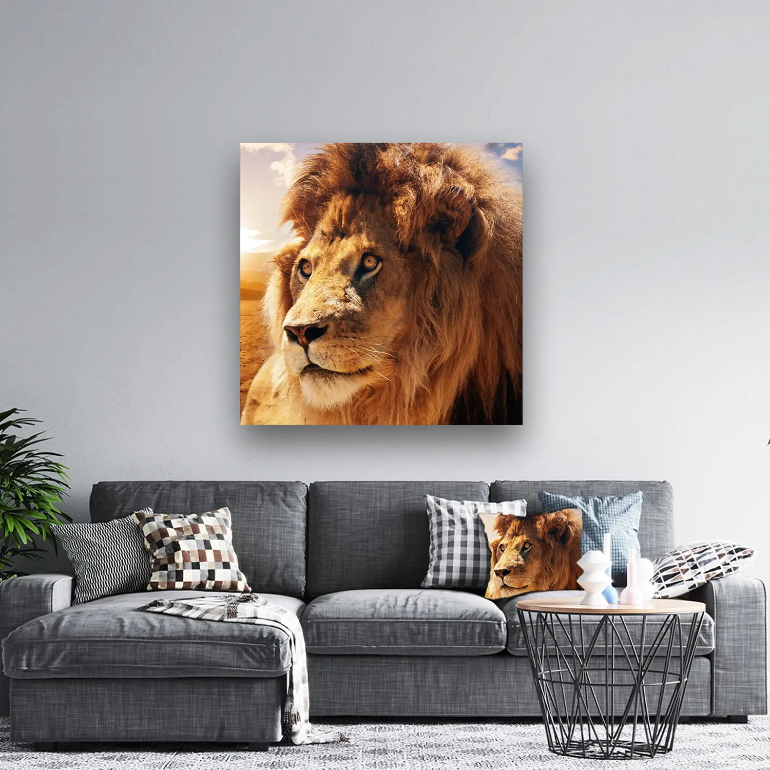 Dibond Gallery 120x120 - Furry Lion - Fotokunst Wanddecoratie Vierkant - nieuw