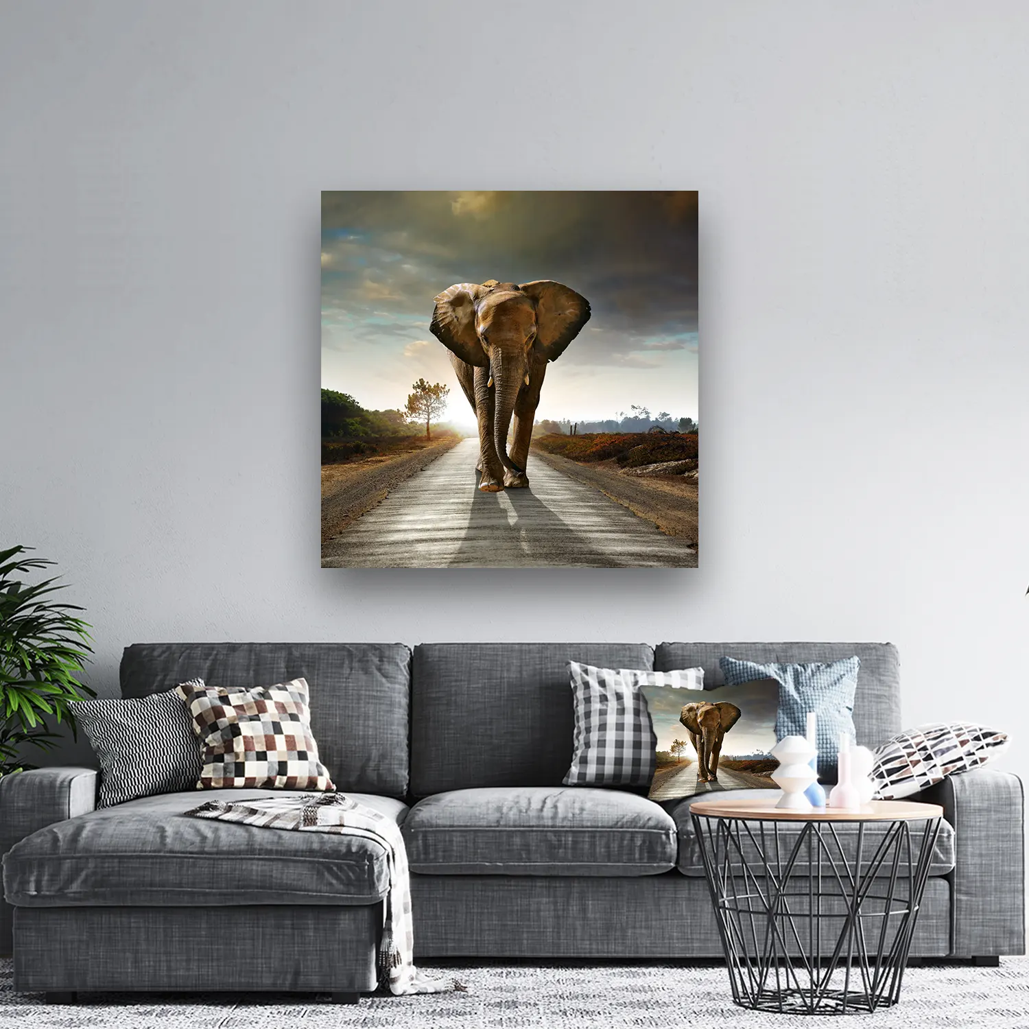 Dibond Gallery 120x120 - Lost Elephant - Fotokunst Wanddecoratie Vierkant - nieuw