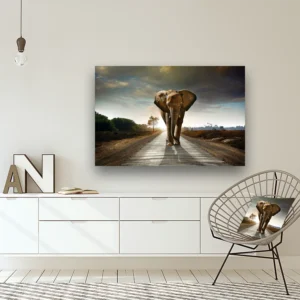 Dibond Gallery 120x80 - Lost Elephant - Fotokunst Wanddecoratie Horizontaal - nieuw
