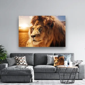 Dibond Gallery 180x120 - Furry Lion - Fotokunst Wanddecoratie Horizontaal - nieuw
