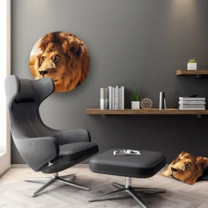 Dibond Gallery 60x60 - Furry Lion - Fotokunst Wandcirkel
