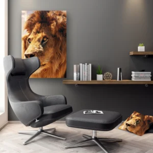 Dibond Gallery 60x90 - Furry Lion - Fotokunst Wanddecoratie Verticaal