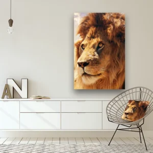 Dibond Gallery 80x120 - Furry Lion - Fotokunst Wanddecoratie Verticaal - nieuw