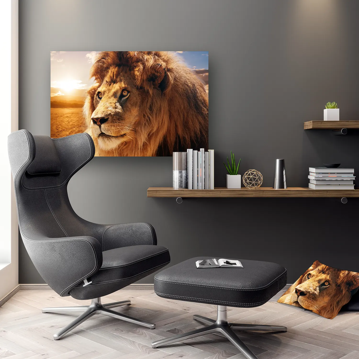 Dibond Gallery 90x60 - Furry Lion - Fotokunst Wanddecoratie Horizontaal