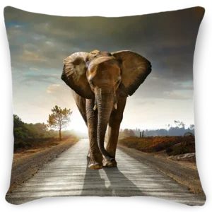 Product Categorie Thumbnail - Animals In Nature - Cushion Art - 600x600