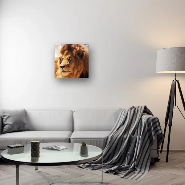 Size Variation 60x60 - Furry Lion - Fotokunst Wanddecoratie Vierkant