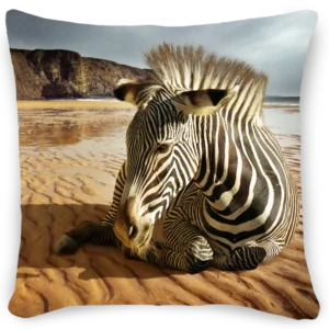 Beach Zebra - Fotokunst Sierkussen