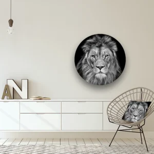 Dibond Gallery 80x80 - The Lion - Fotokunst Wandcirkel