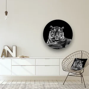 Dibond Gallery 80x80 - The Tiger - Fotokunst Wandcirkel