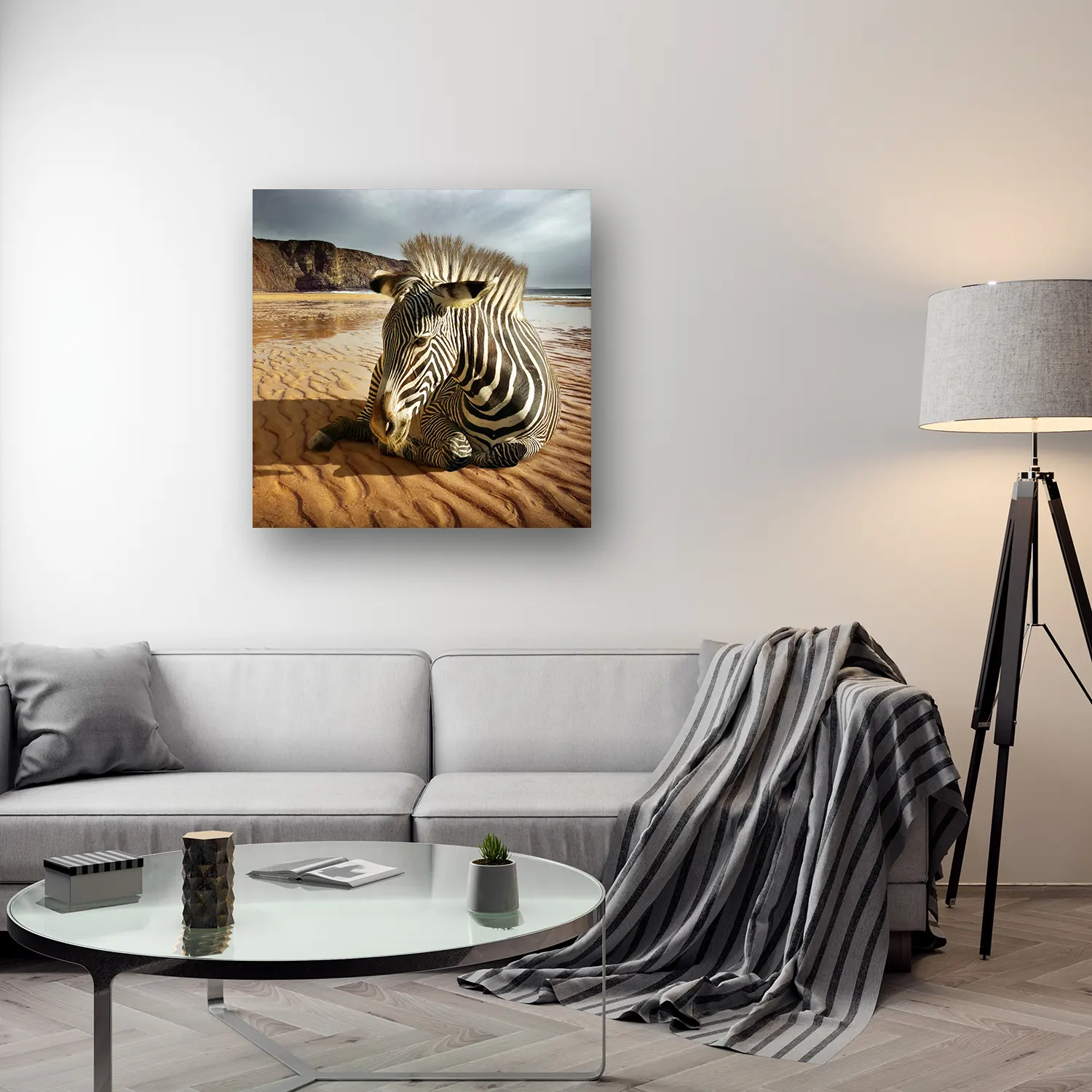 Size Variation 100x100 - Beach Zebra - Fotokunst Wanddecoratie Vierkant