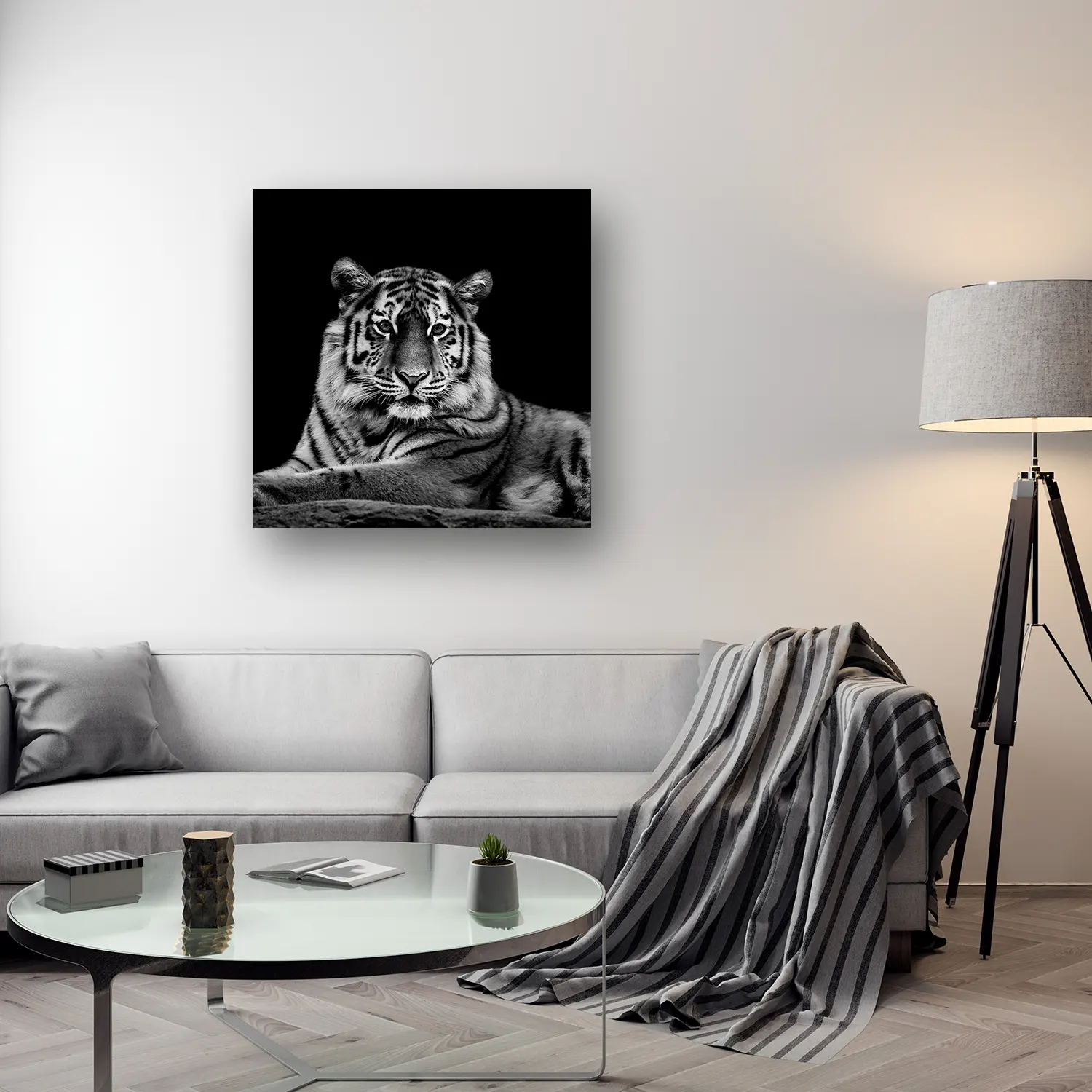Size Variation 100x100 - The Tiger - Fotokunst Wanddecoratie Vierkant
