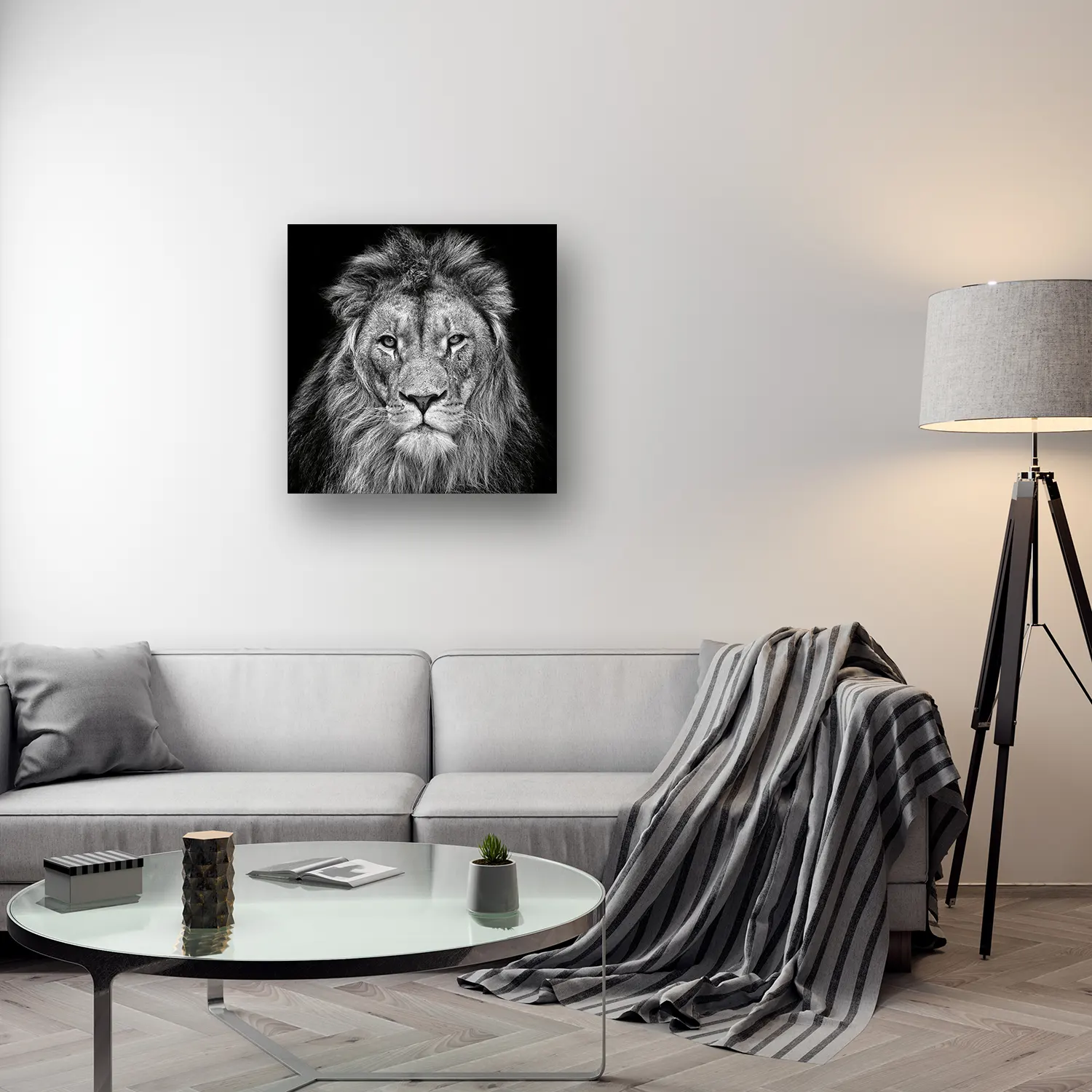 Size Variation 80x80 - The Lion - Fotokunst Wanddecoratie Vierkant