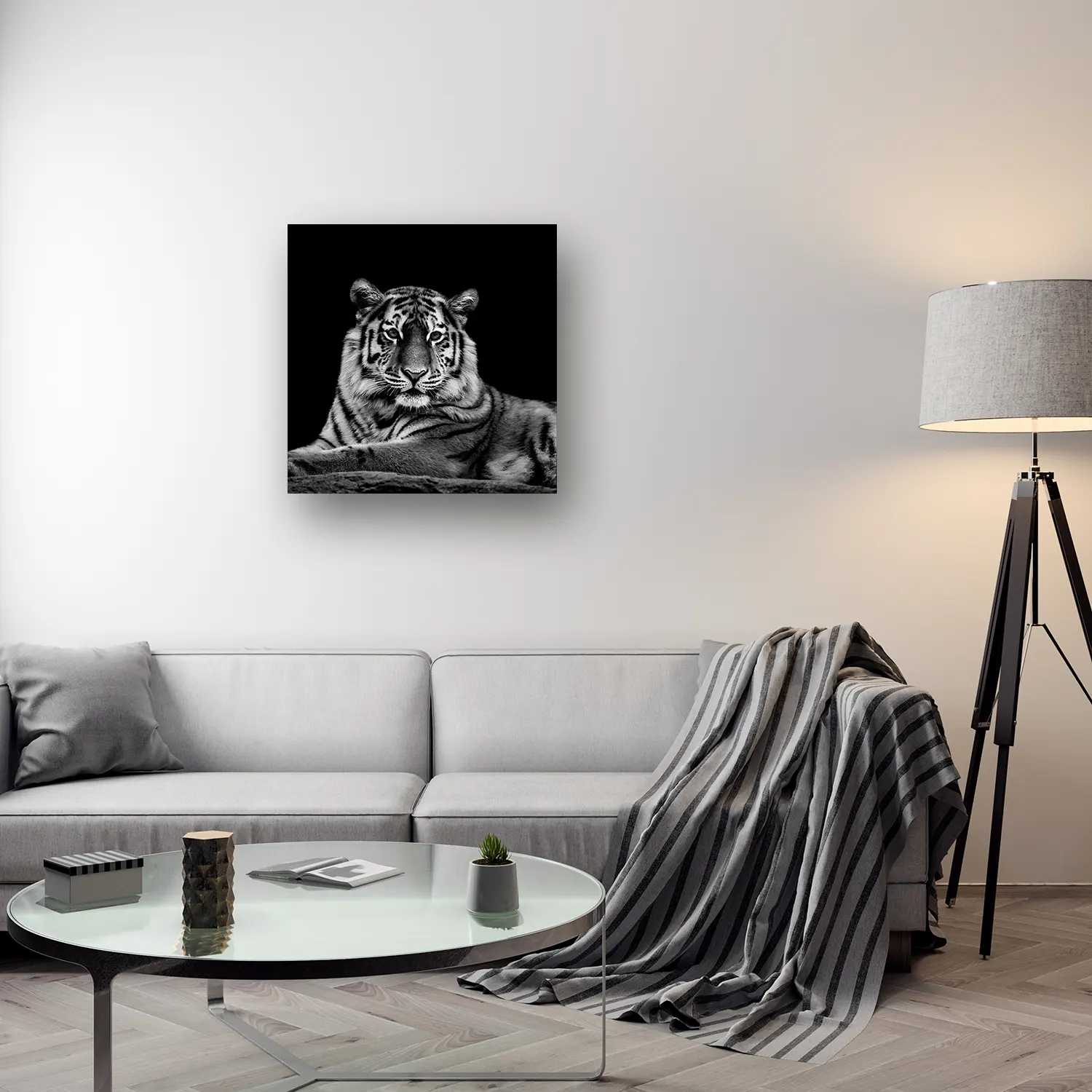 Size Variation 80x80 - The Tiger - Fotokunst Wanddecoratie Vierkant